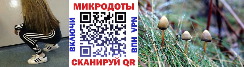 Галлюциногенные грибы прущие грибы  Краснокаменск 